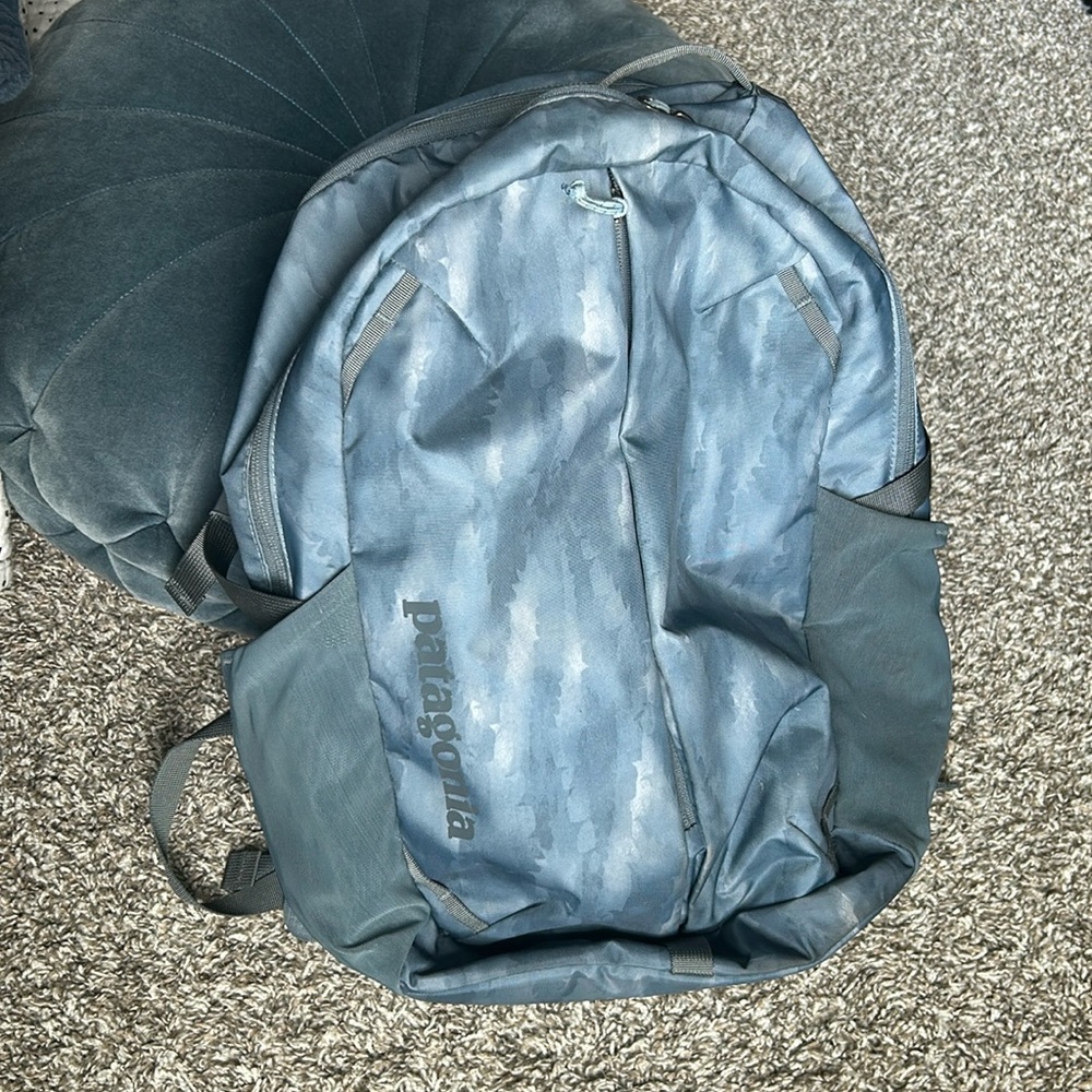 Patagonia backpack with laptop carrying case
